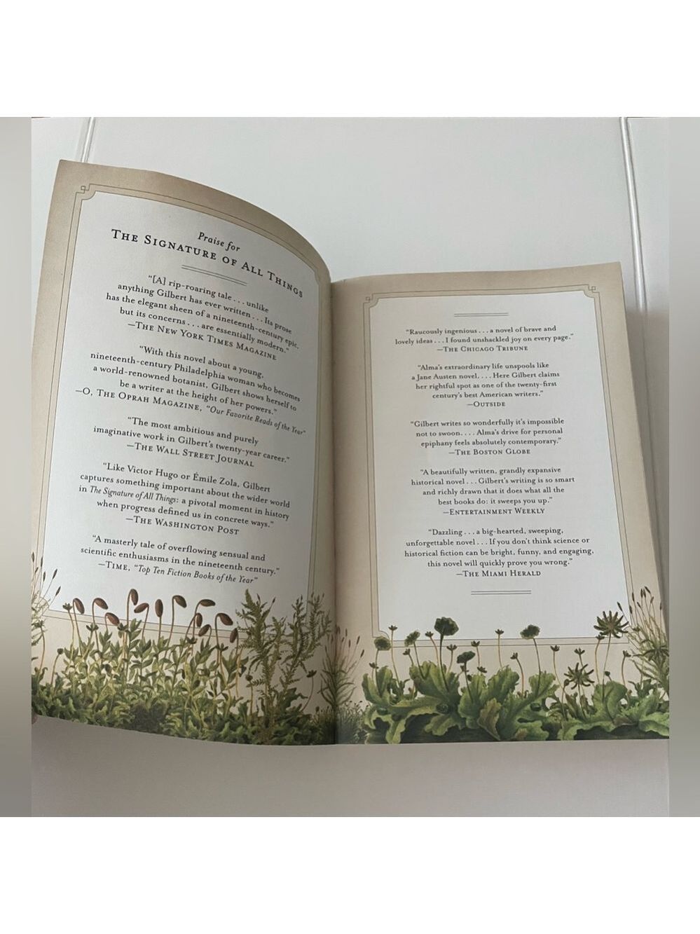 The Signature of All Things by Elizabeth Gilbert - Brand New - Picture 4 of 4